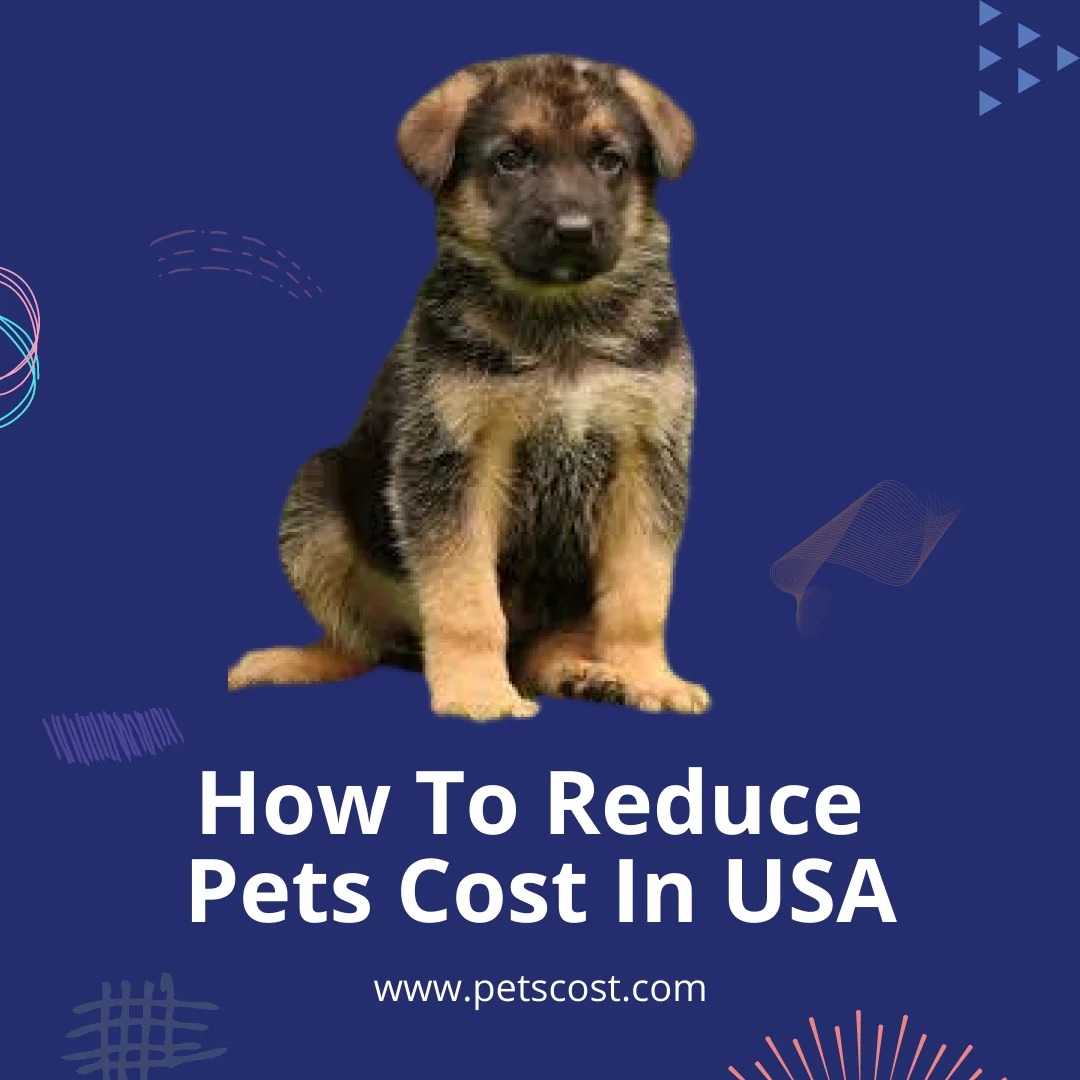 Reduce Pets Cost image