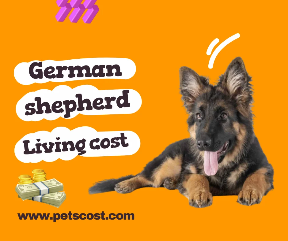 Managing Pets Cost image