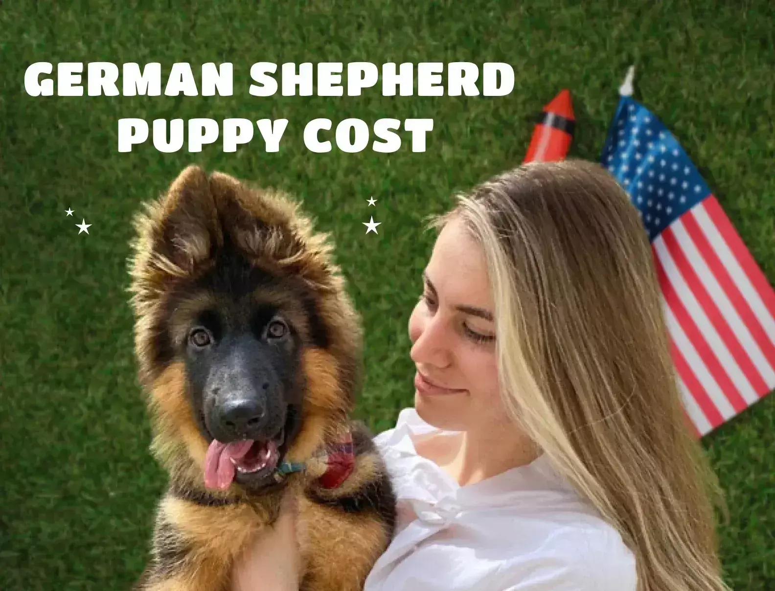 German Shepherd Puppy Cost Image