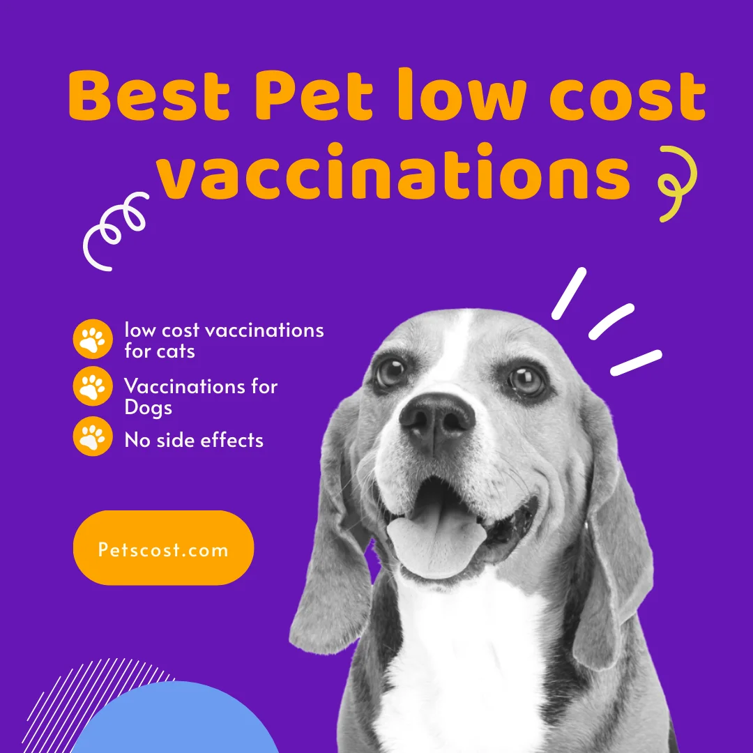 Important Tips For Pets Vaccinations In 2023
